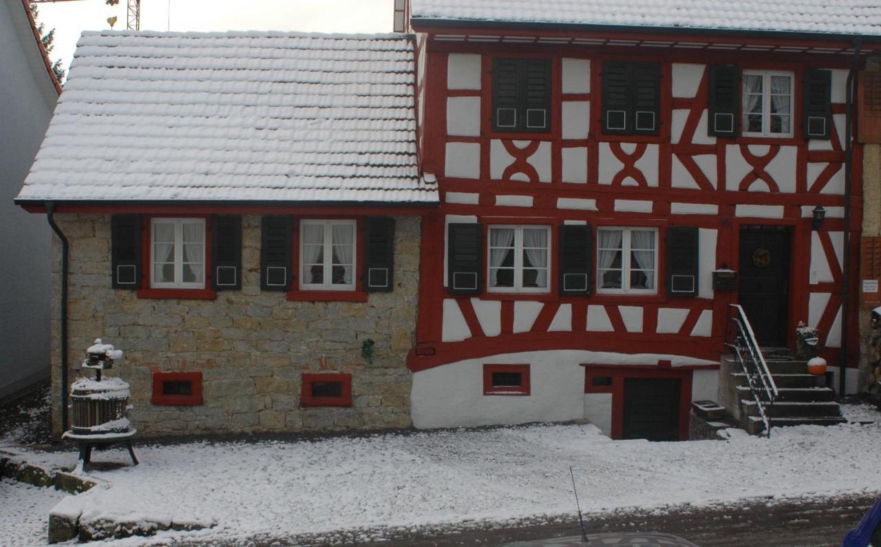 Ferienwohnung Traumschiff Erzingen Luaran gambar